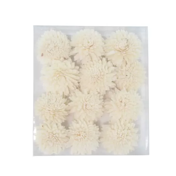 LITTON LANE White Sola Boxed Carnation and Rose Flowers (Set of 2)